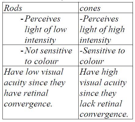 Kcse-biology-revision-questions-25-03-2022-0939.JPG