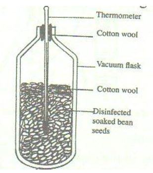 biology-respiration-questions-and-answers-15-05-2022-2126.JPG