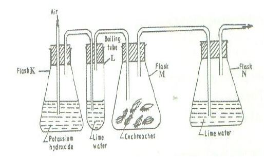 biology-respiration-questions-and-answers-19-05-2022-0509.JPG