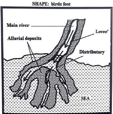 birds-foot-delta.JPG