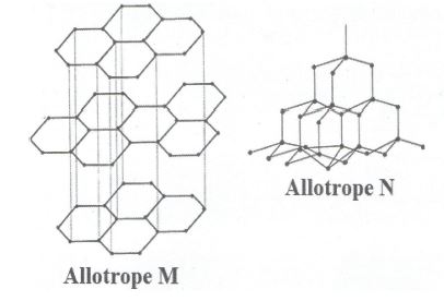 carbon31120212059.JPG