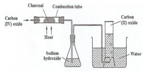 carbon31120212109.JPG