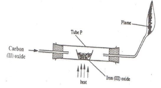 carbon31120212141.JPG