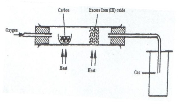 carbon41120210413.JPG