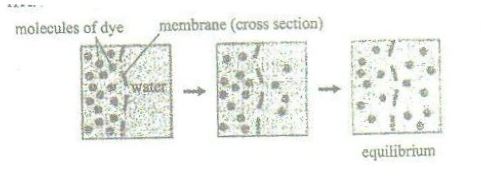 cellphysiology1320212128.JPG