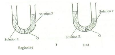 cellphysiology13202200.JPG