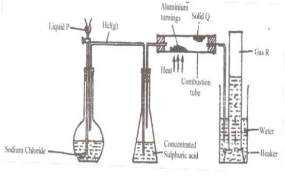 chlorine32020211046.JPG