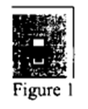 figure1-4565.PNG