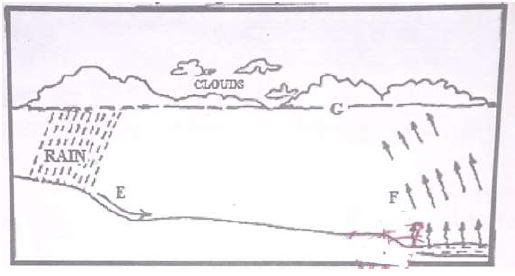 form-3-geography-hydrological-cycle-61720210533.JPG