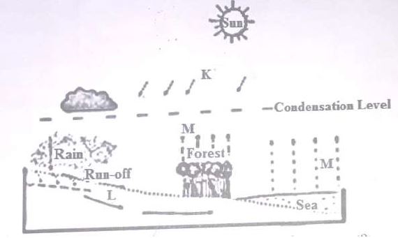 form-3-geography-hydrological-cycle-61720210536.JPG