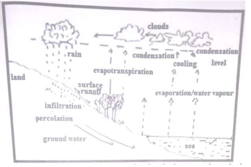 form-3-geography-hydrological-cycle-61720210541.JPG