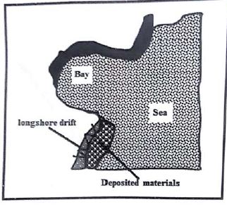 formation-of-fringing-reef.JPG