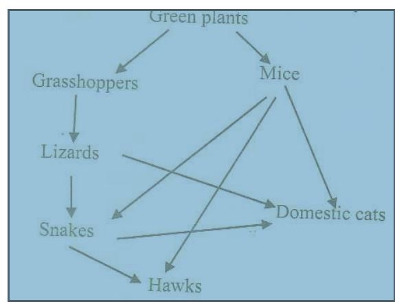 forms-3-biology-ecology-10-02-22.JPG