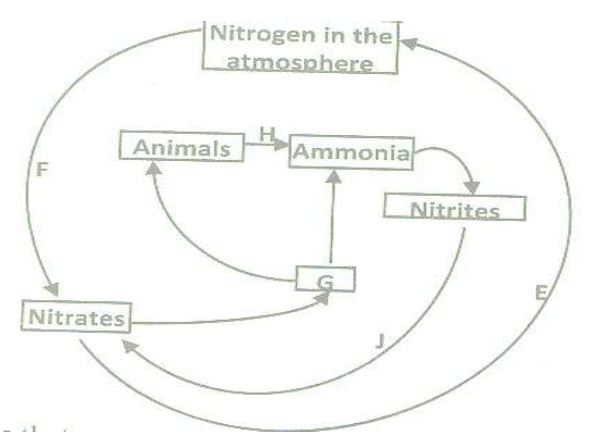 forms-3-biology-ecology-1105-22.JPG