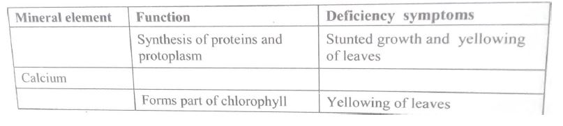 nutritioninplants4320211523.JPG