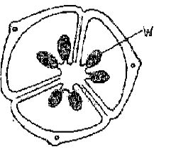 reproduction-in-plants-11-03-2028-1407.JPG