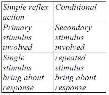 response-and-coordination-2053.JPG