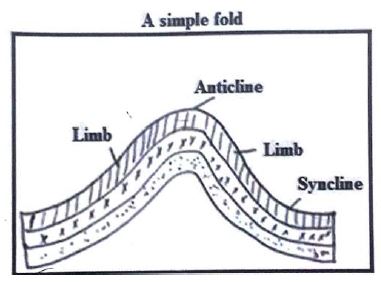 simple-fold-15-05-2022.JPG