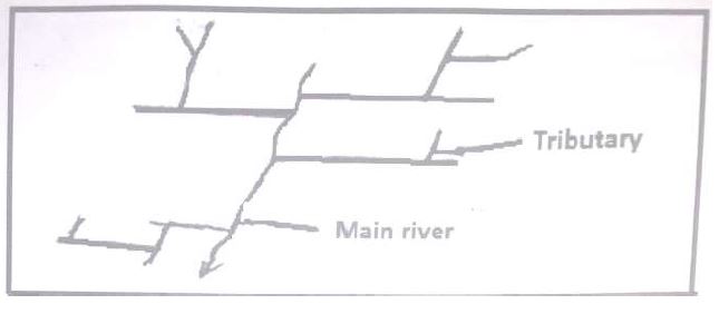 trellis-drainage-pattern-15-09-2021-0636.JPG